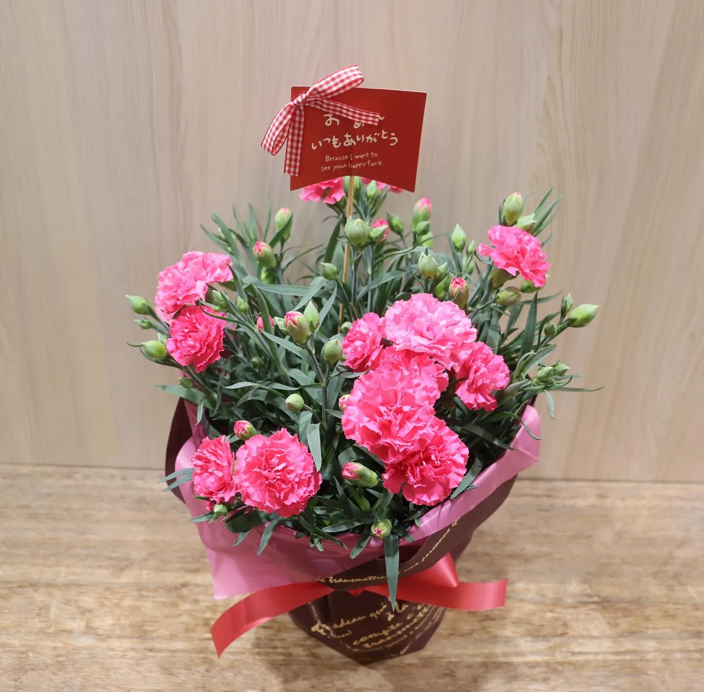 母の日用のカーネーションの鉢物商品が入荷しました✨