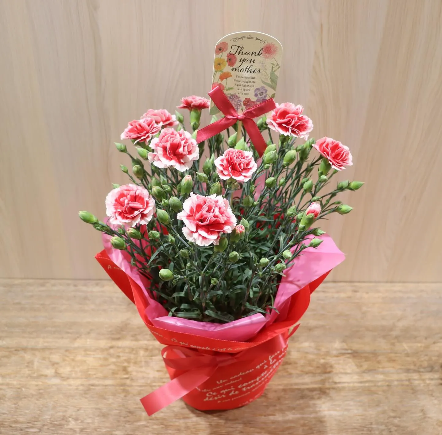 母の日用のカーネーションの鉢物商品が入荷しました✨
