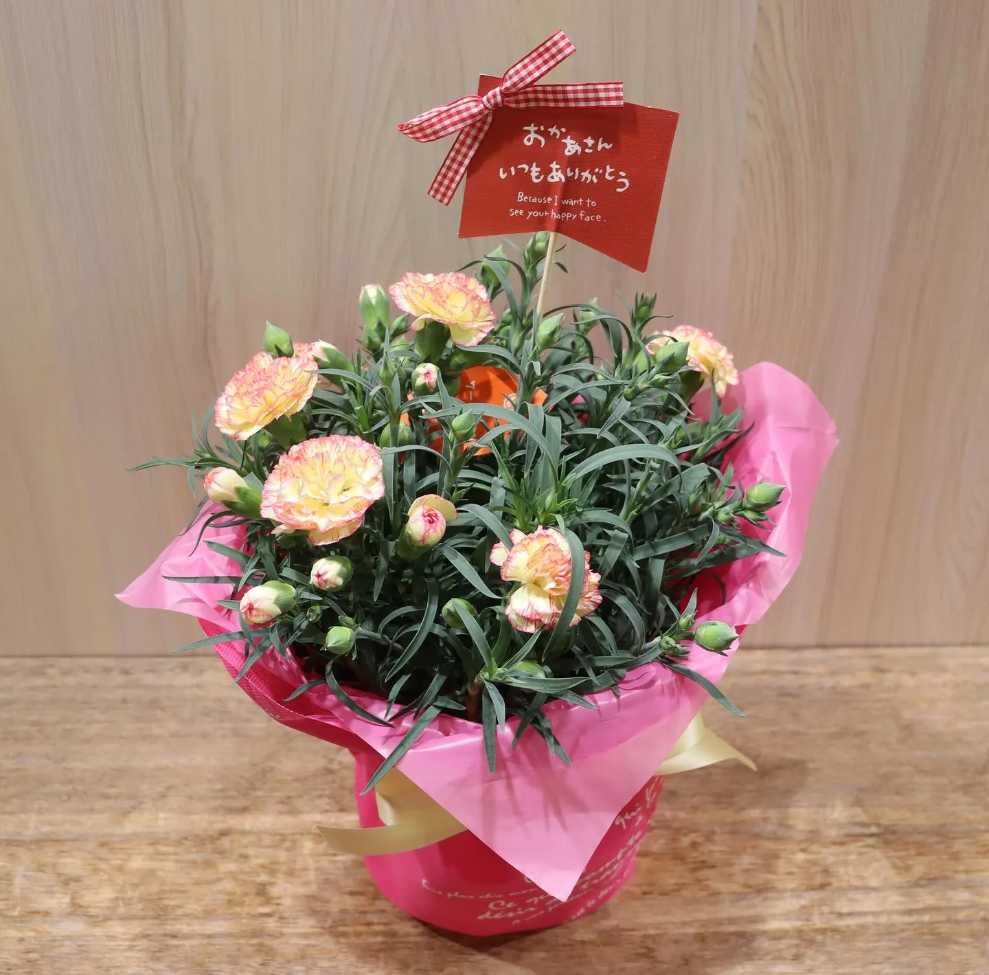 母の日用のカーネーションの鉢物商品が入荷しました✨