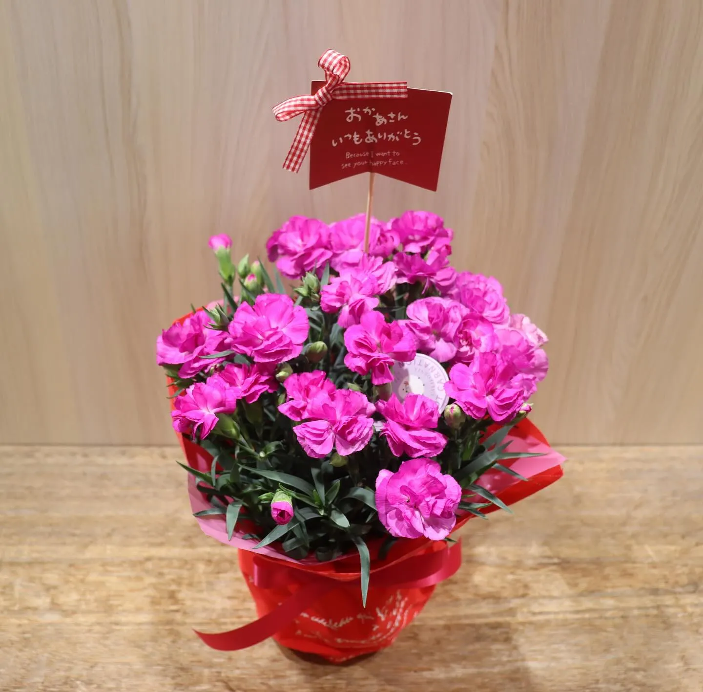 母の日用のカーネーションの鉢物商品が入荷しました✨