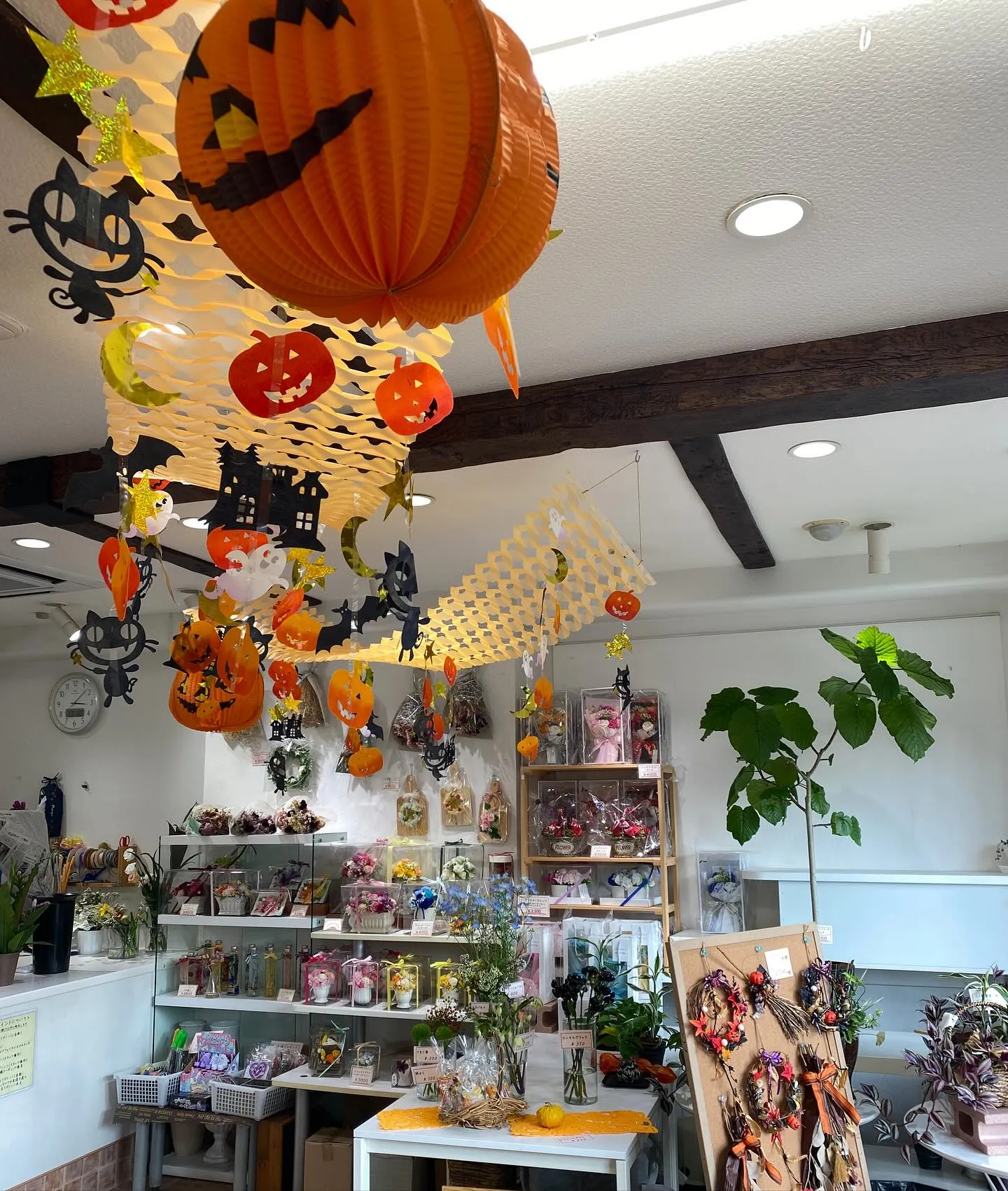 フラワーショップ花のんのHalloween🎃