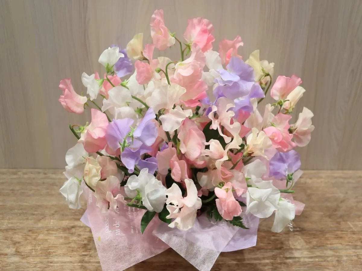 🏡置くだけで春の香り！スイートピーのアレンジメント🌸