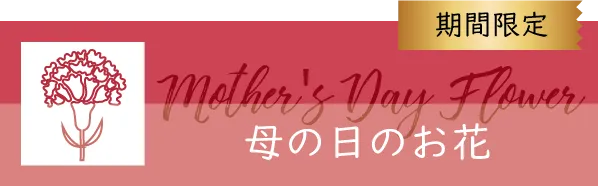 アレンジメント