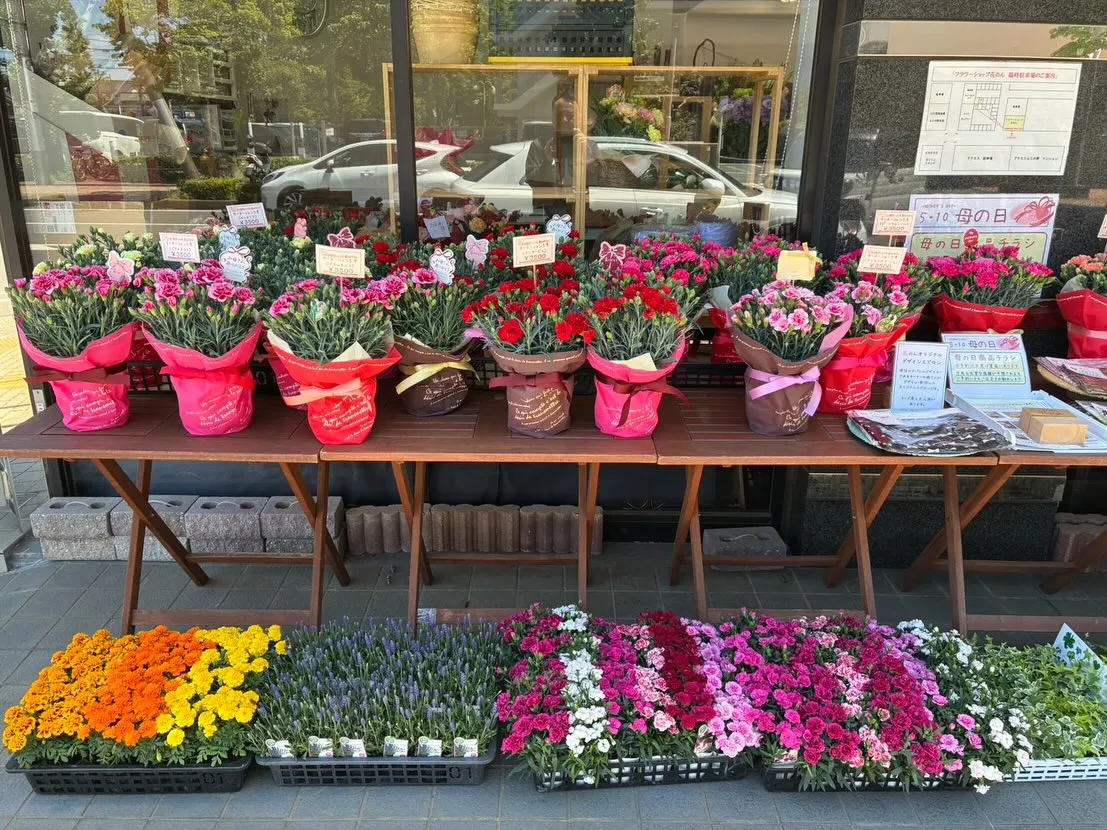 【母の日👩🏻】店頭の準備が早くも整いました！✨